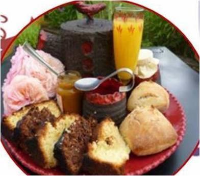 Le Nid Perche Bed and Breakfast Saint-Sauveur-en-Puisaye Exteriör bild
